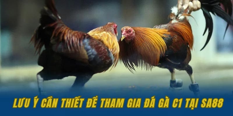 Lưu ý cần thiết để tham gia đá cũng như cá cược tại nhà cái