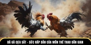 Đá gà cựa sắt
